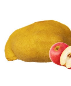 Manzana