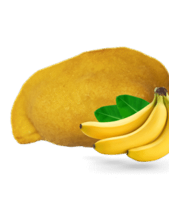 Banano