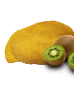 Kiwi